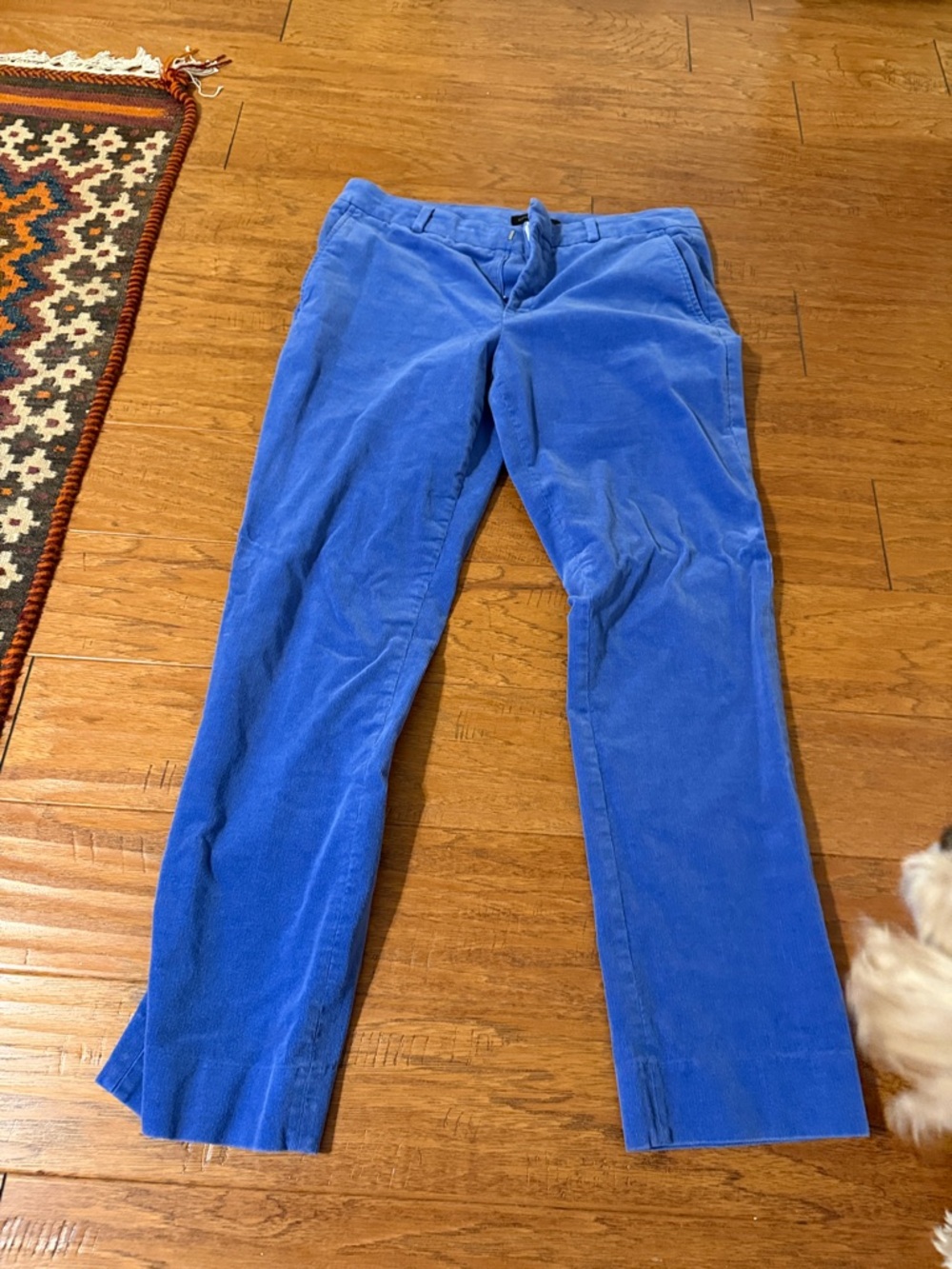 Banana Republic Bright Blue Corduroy Pants